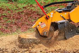 How Our Tree Care Process Works  in  Hanford, CA