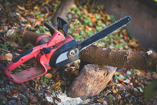 Best Weed Control  in Hanford, CA
